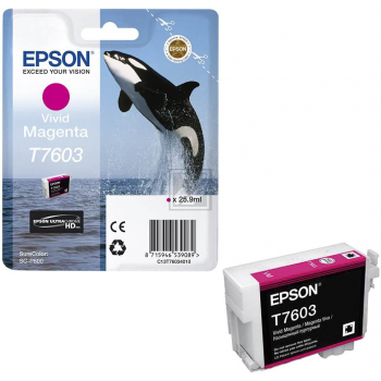 Epson Tintenpatrone magenta (C13T76034N10, T7603)
