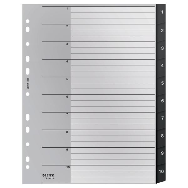Leitz RECYCLE-A4, eco, Satz 1-10, grau
