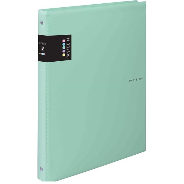 Pastelini Ringbuch, A4, Kunststoff, grün