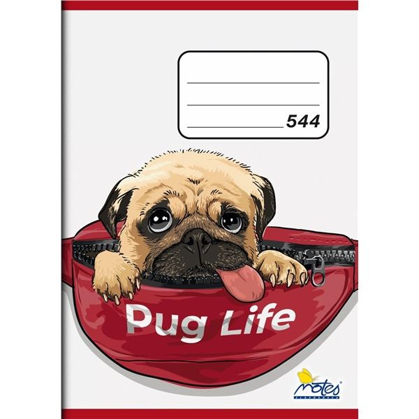 Notizbuch 544, A5, Linie, 40 Blatt