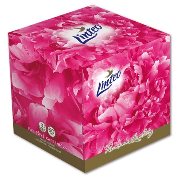 Linteo Papiertaschentücher in einer Schachtel